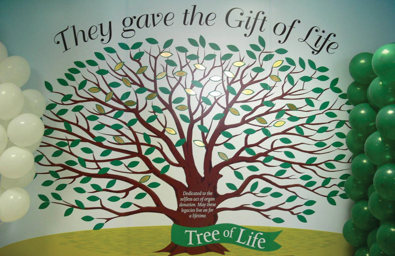 Nurturing the tree of life - American Nurse Today